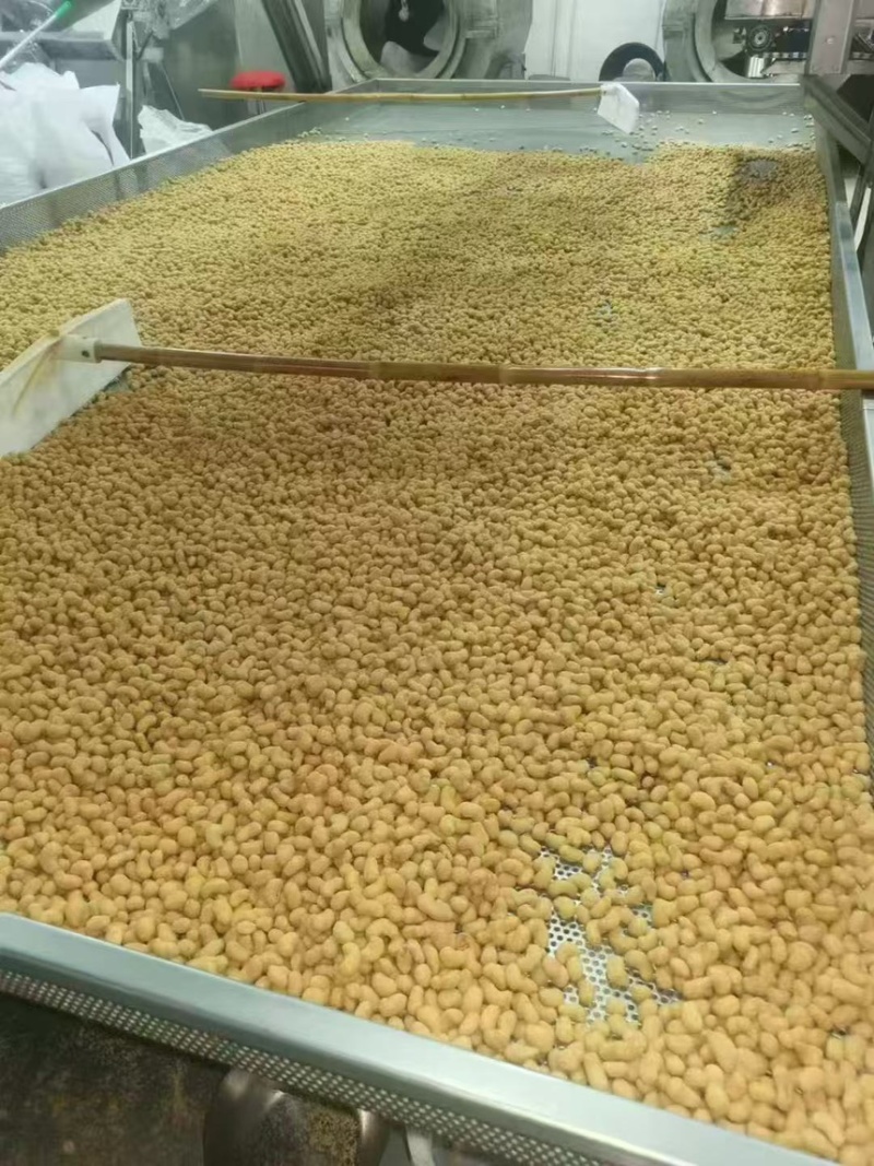 炭烧腰果大量有货一手货源充足支持全国各地发货