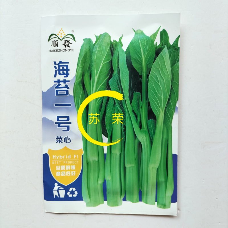 海苔一号菜苔种子早熟高产抗病菜心种籽农家田园秋播四季蔬菜