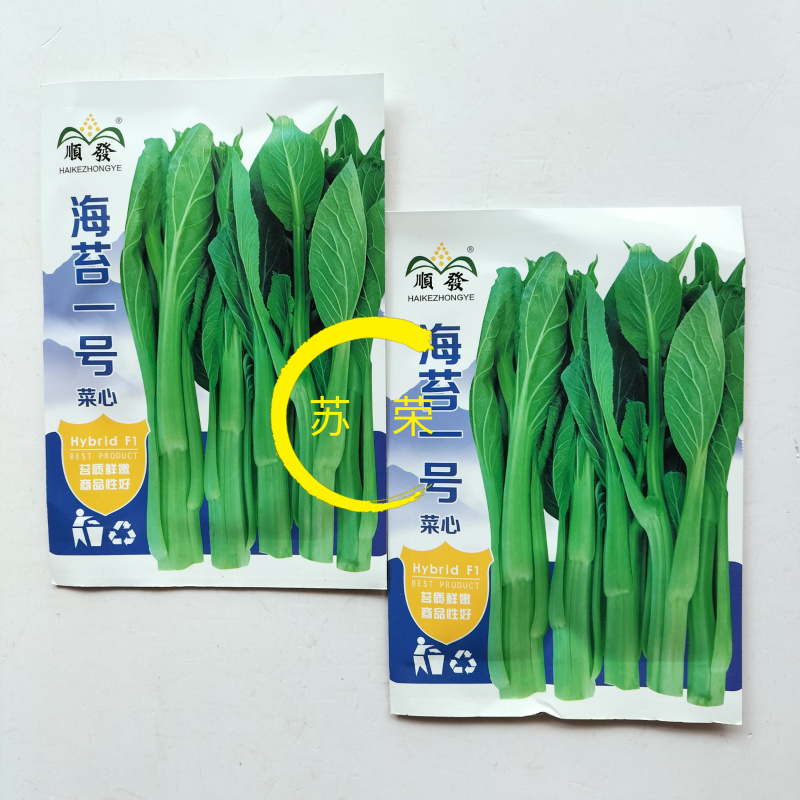 海苔一号菜苔种子早熟高产抗病菜心种籽农家田园秋播四季蔬菜