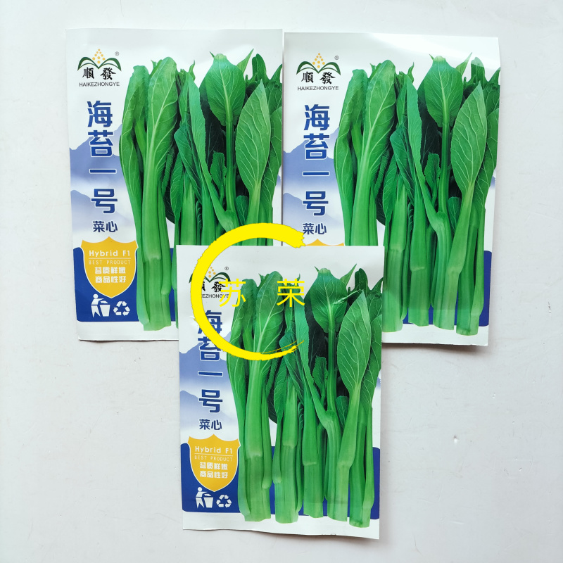 海苔一号菜苔种子早熟高产抗病菜心种籽农家田园秋播四季蔬菜