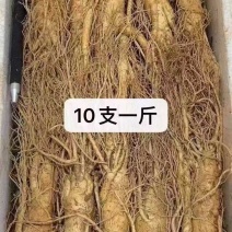 鲜人参规格齐全