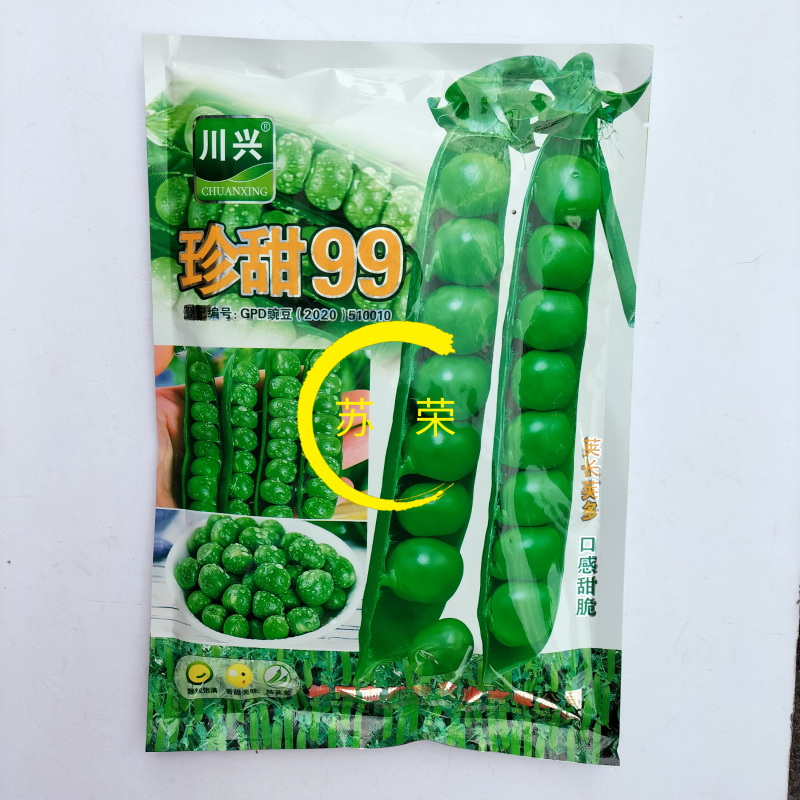 珍甜99豌豆种子高产优质口感脆甜豌豆种籽农家田园秋季播