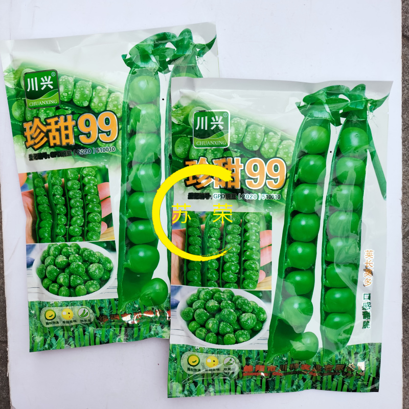 珍甜99豌豆种子高产优质口感脆甜豌豆种籽农家田园秋季播