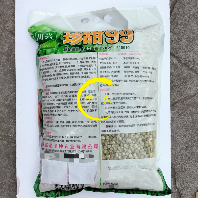 珍甜99水果豌豆种子甜脆荚长荚多豆荚大品质好豌豆仁种籽