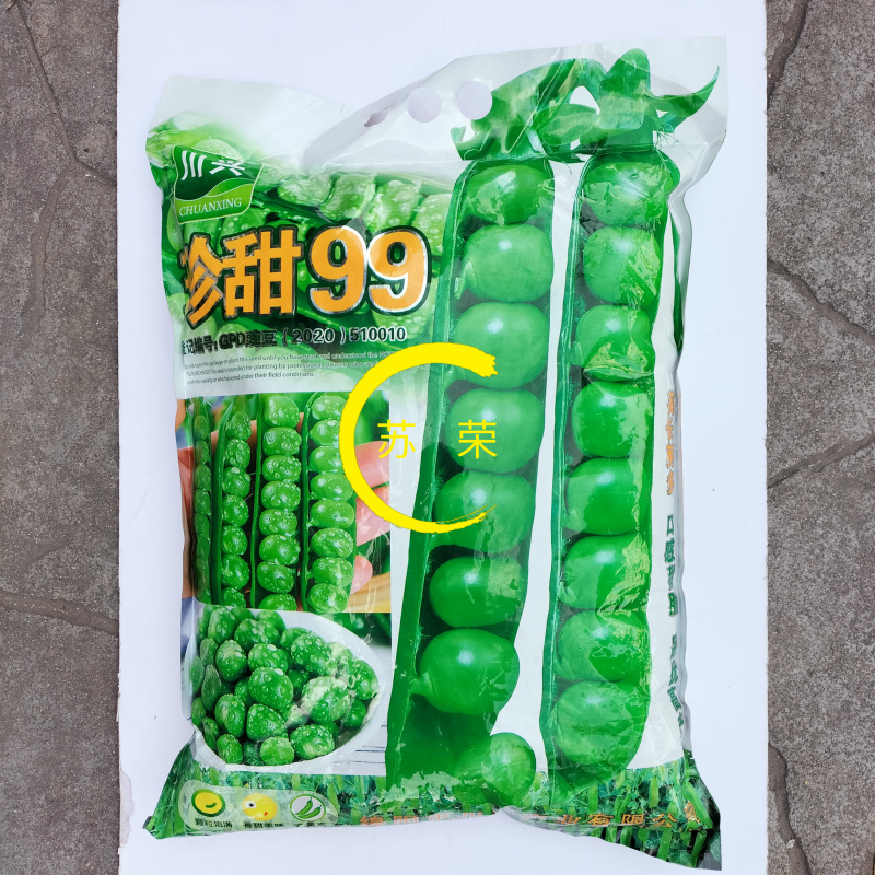 珍甜99水果豌豆种子甜脆荚长荚多豆荚大品质好豌豆仁种籽