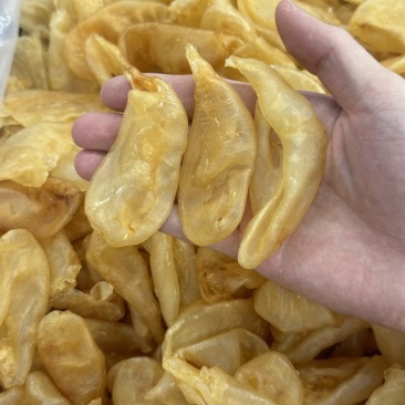 精选珍珠胶50头