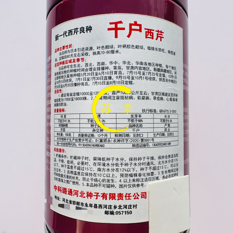 千户西芹菜种子高产抗病耐热耐寒农家菜园基地阳台种植蔬菜种