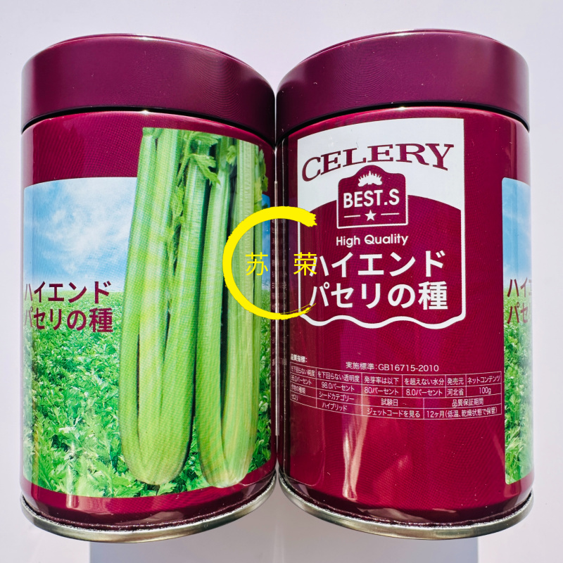 千户西芹菜种子高产抗病耐热耐寒农家菜园基地阳台种植蔬菜种