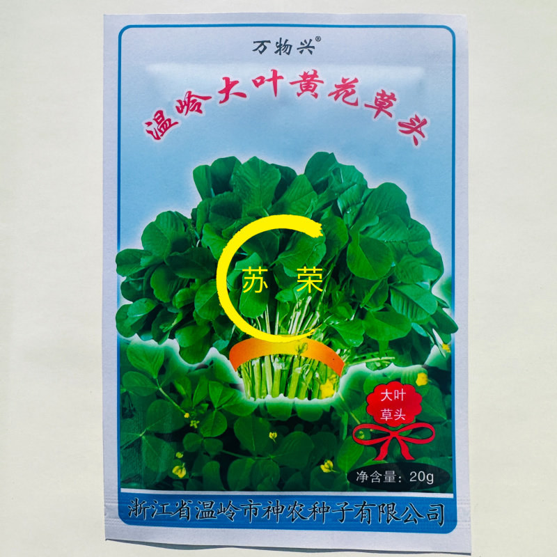 温岭大叶黄花草头金花菜种子苜蓿菜籽黄花草头籽母鸡头