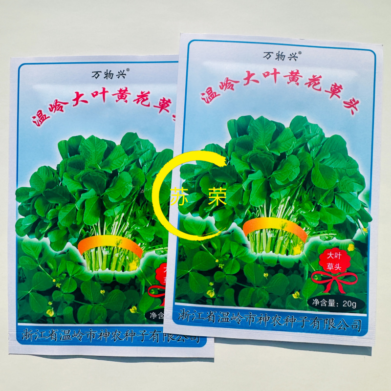 温岭大叶黄花草头金花菜种子苜蓿菜籽黄花草头籽母鸡头