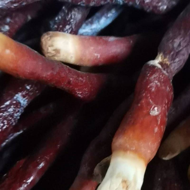 鹿扁灵芝急售，有意者电话联系***********