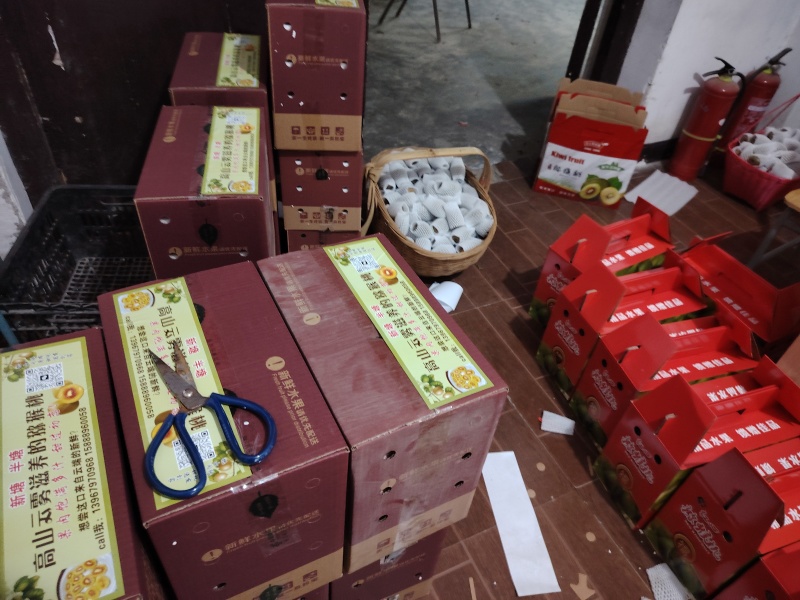 武义新塘半塘高山红心猕猴桃