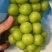 阳光玫瑰