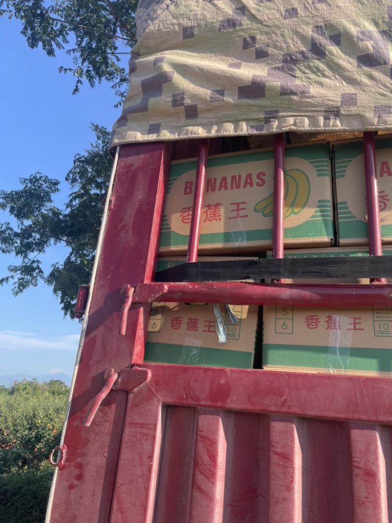 蒲城酥梨，砀山酥梨，承接电商商超，板板车……