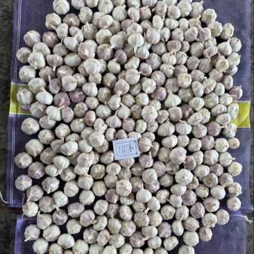 保鲜蒜米现做现发