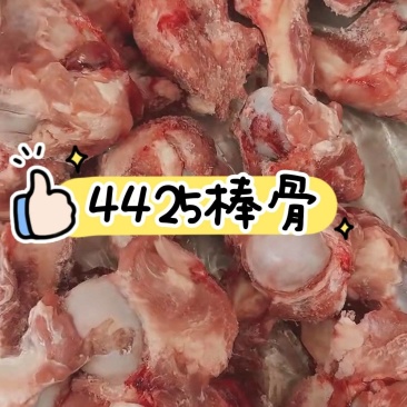 4425前腿骨，棒骨实拍超低价