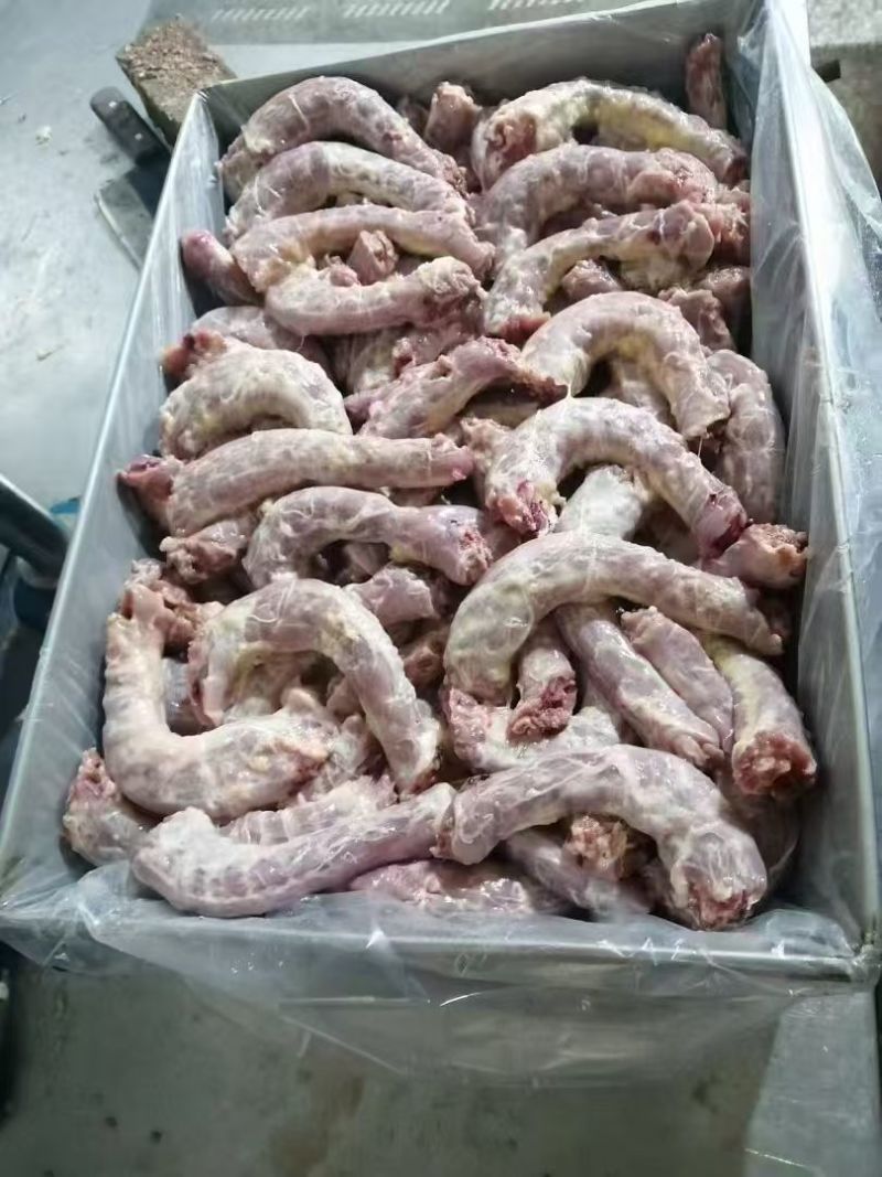 种母鸡鸡脖