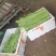豇豆