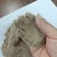 玉米淀粉面