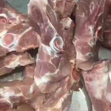 猪尾叉骨