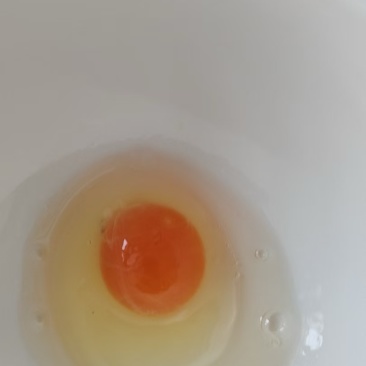 高品质土鸡蛋批发大量供应自产自销可视频看货！