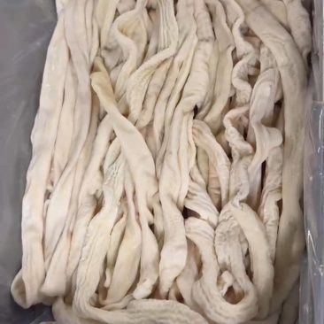 猪小肠