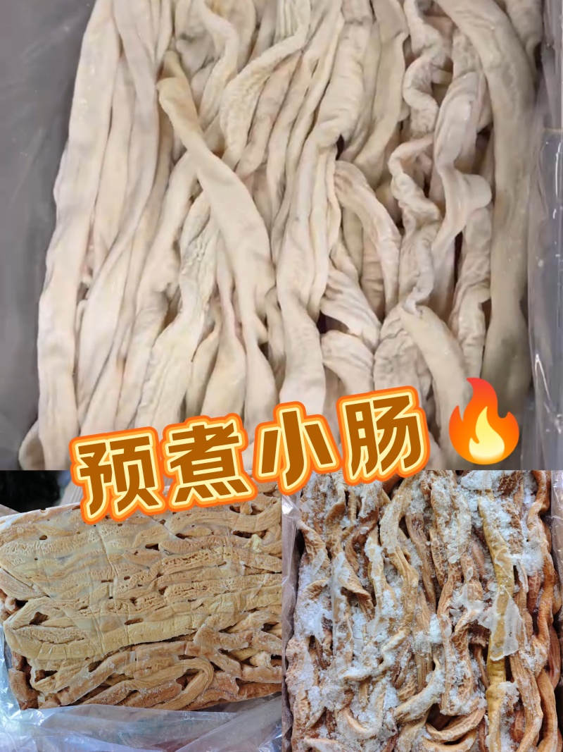 猪小肠