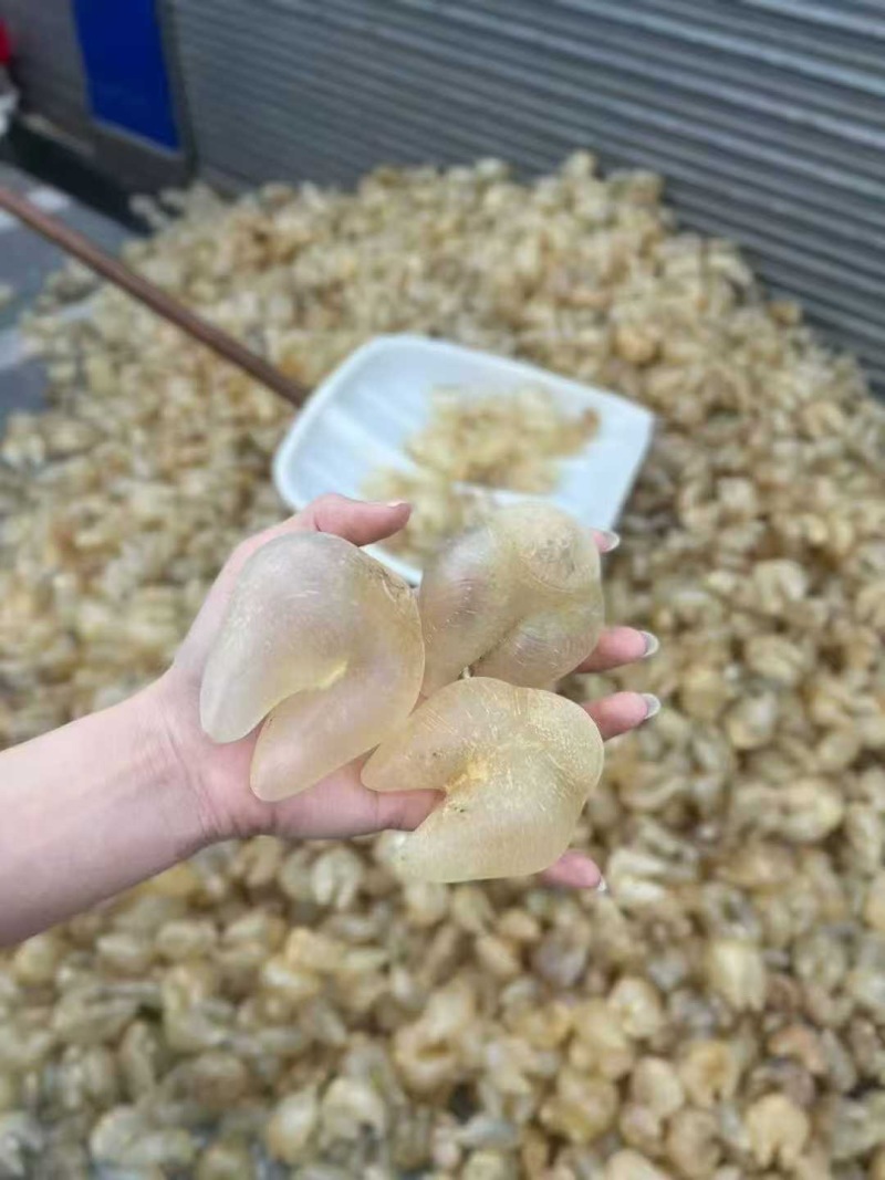 鸡泡胶原装清水货