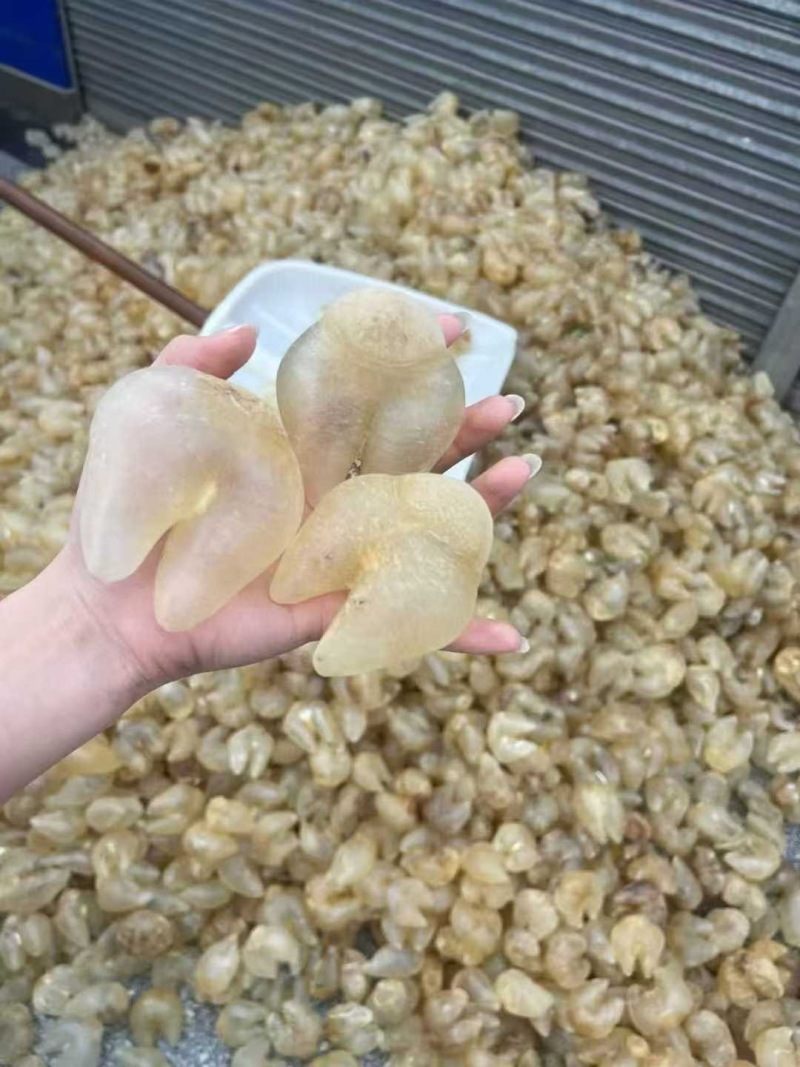 鸡泡胶原装清水货