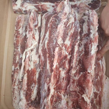 牛腰椎骨