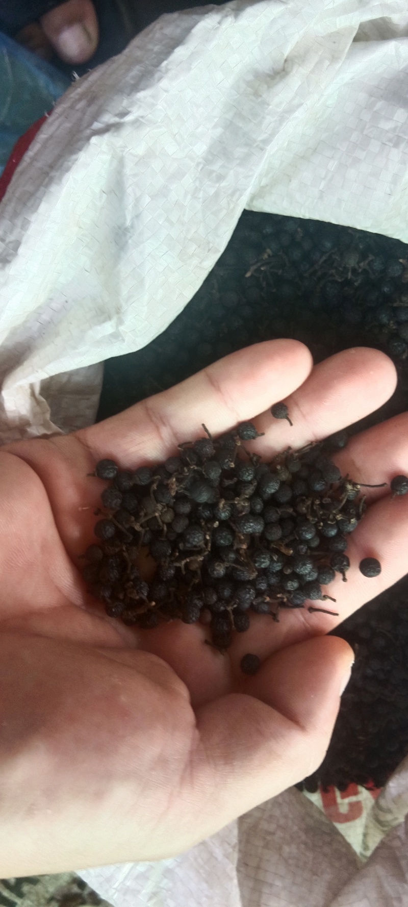 中越北部山区纯正花椒黑椒，天然采摘货品！