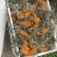 【精品】沙棘果产地直供质量保证，价格合理全国发货