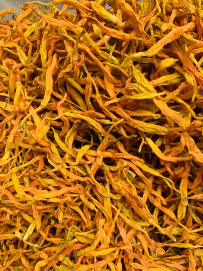 台湾黄花菜