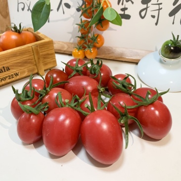 番想千禧圣女果红色樱桃番茄种子