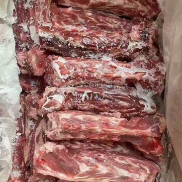 国产多肉羊脖骨