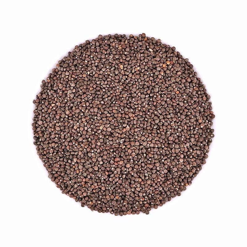 紫苏子食用批发苏子籽,紫苏子,新货无硫苏子生紫苏子