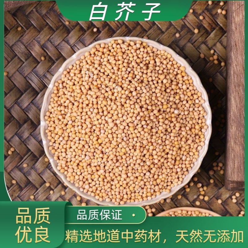 中药材白芥子芥菜子辣菜子大货批发另有炒白芥子