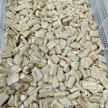 牛小肠段