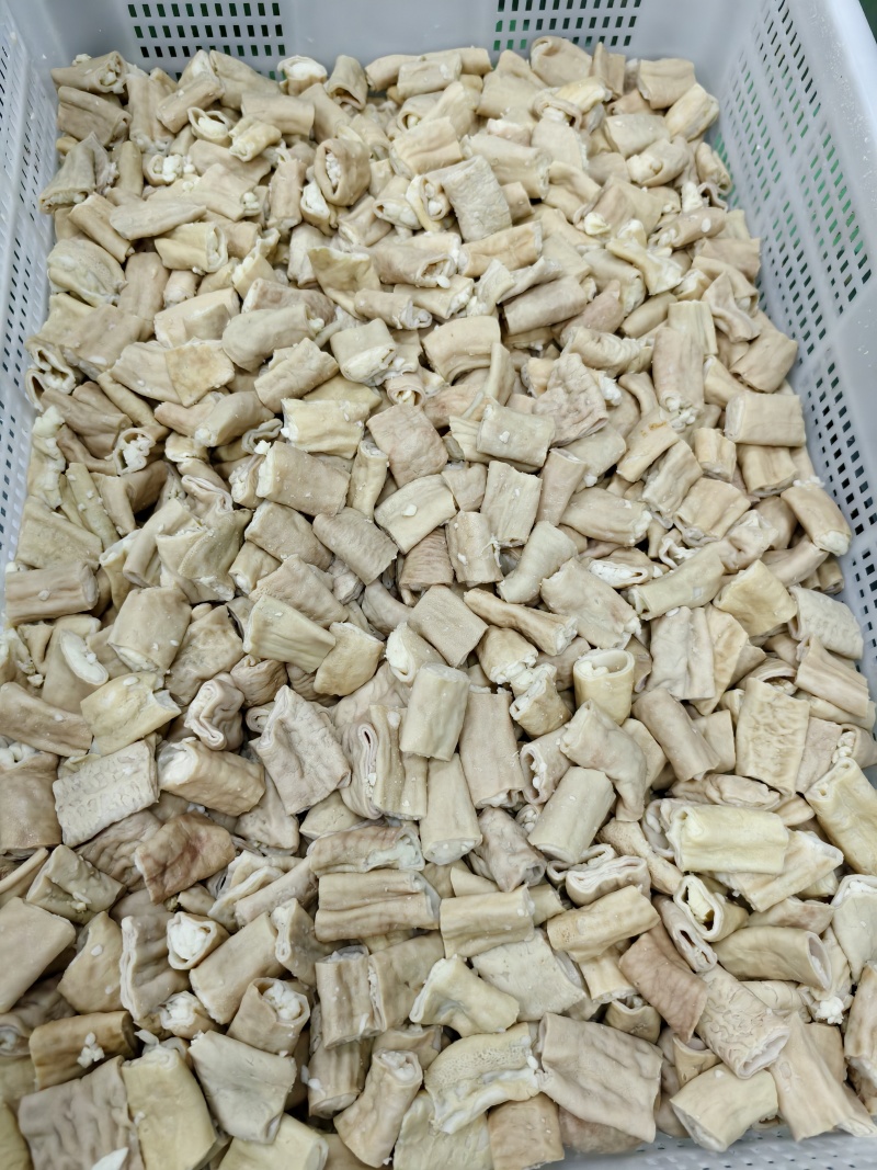 牛小肠段
