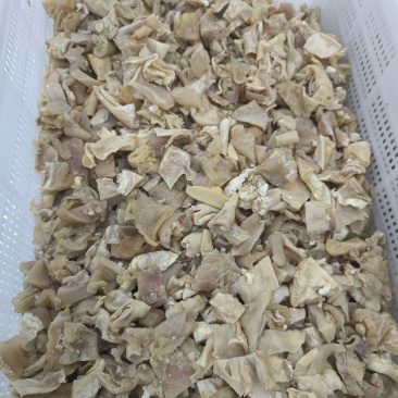 皮筋块
