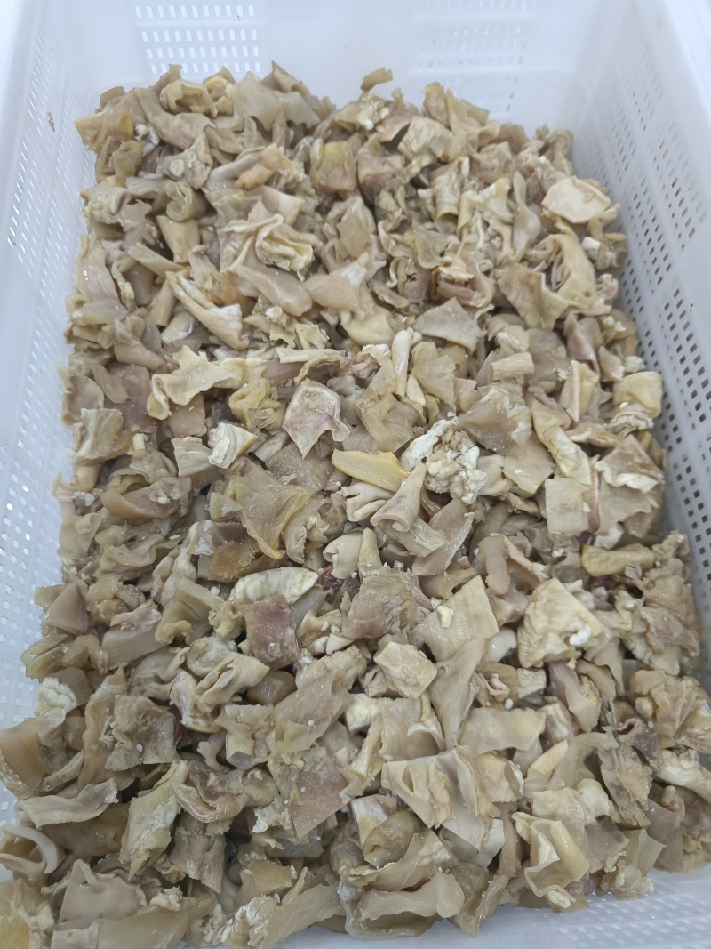 皮筋块