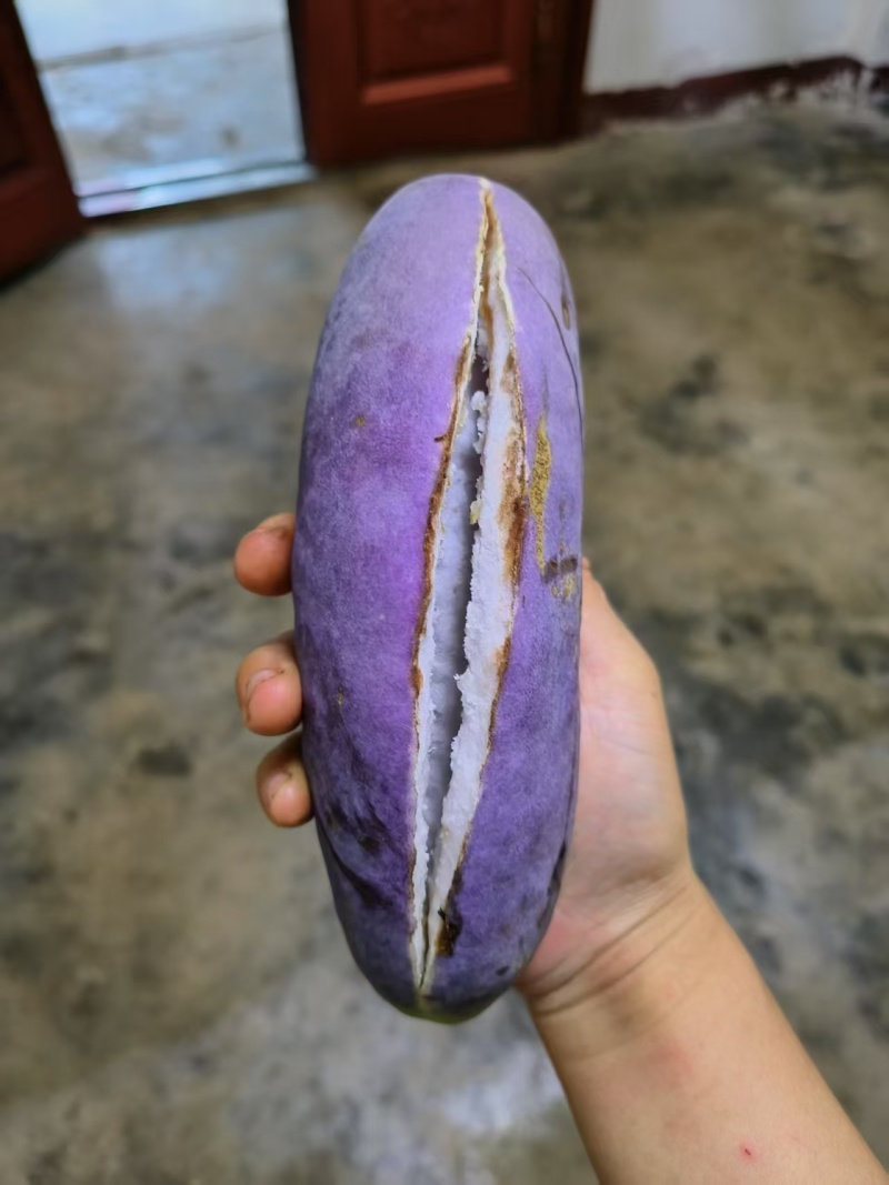 八月瓜，自家种植的，今天瓜多，口感好，风味独特，商超品质