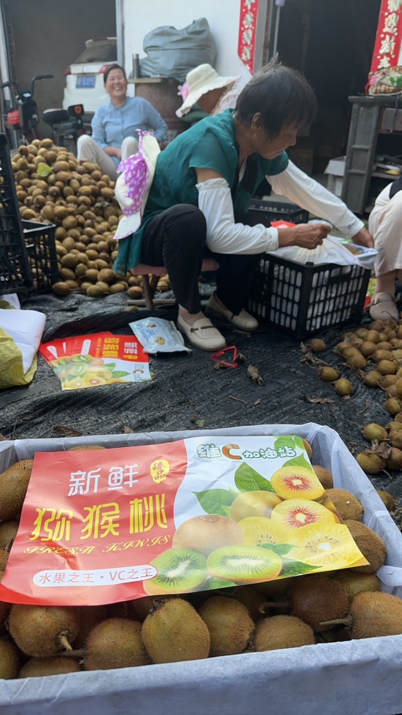河南徐香猕猴桃，徐香猕猴桃