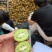 河南徐香猕猴桃，徐香猕猴桃