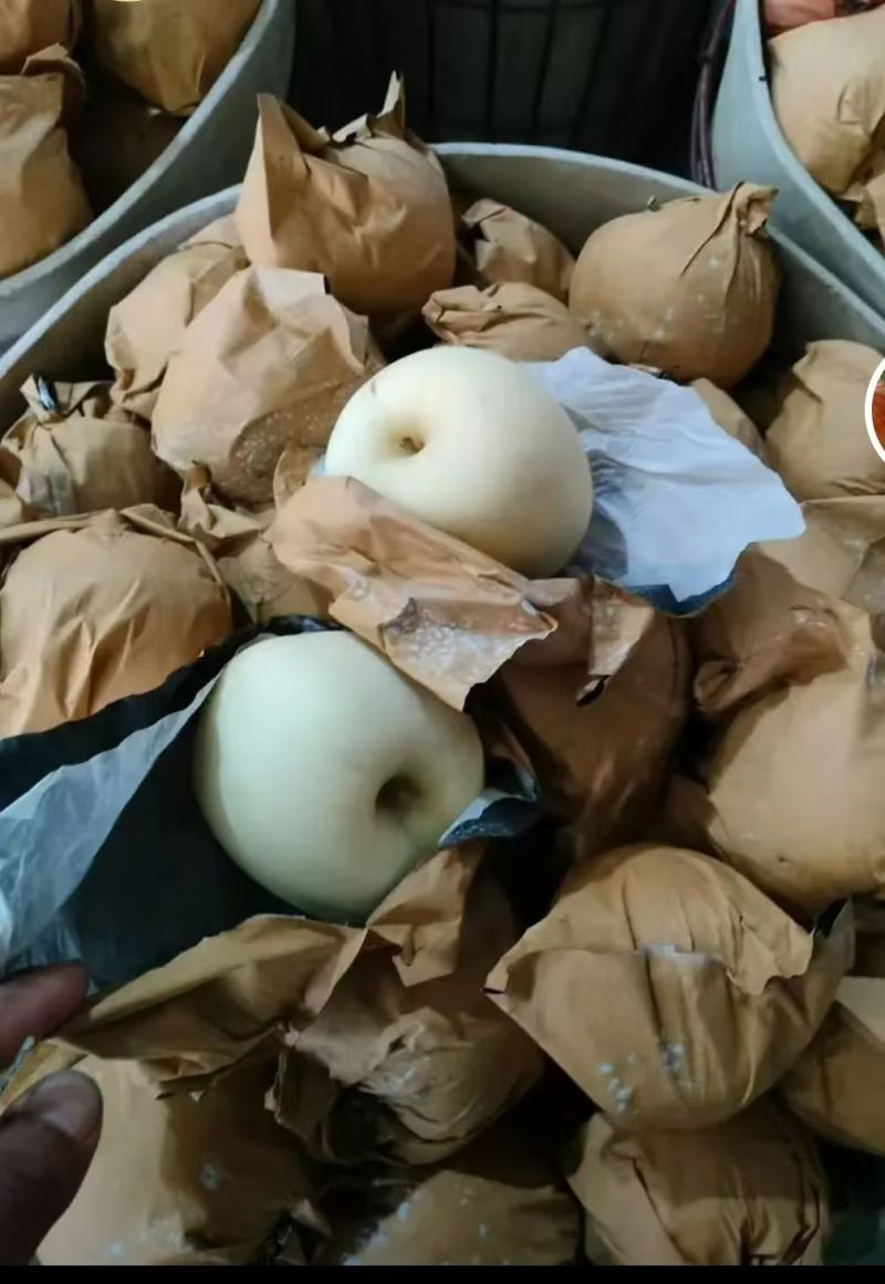 奶油富士，皮薄多汁，冰糖心，正宗栖霞苹果果