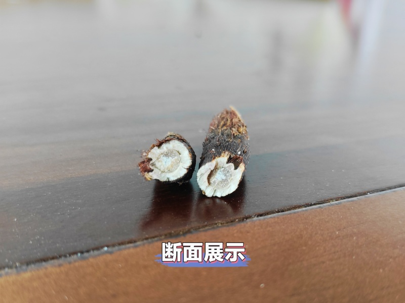 香附子又称三轮草、细三棱、三棱草、水三棱，小三棱