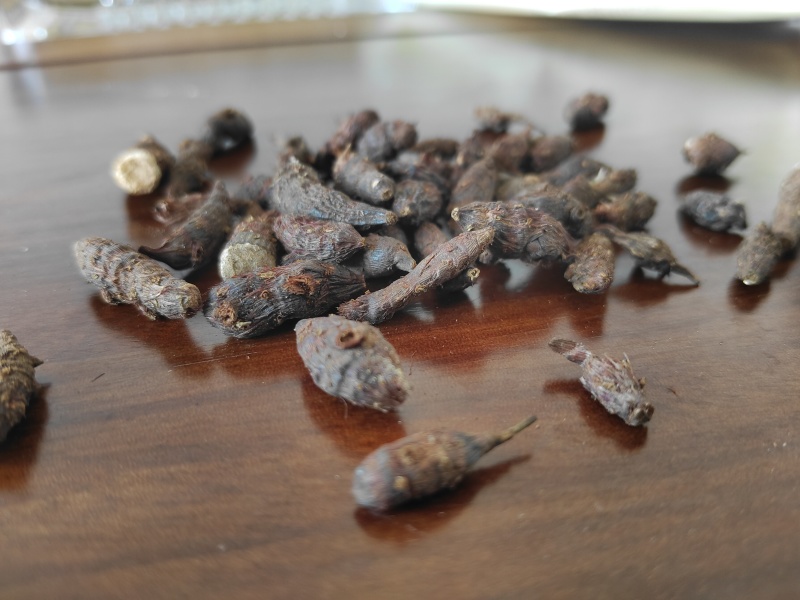 香附子又称三轮草、细三棱、三棱草、水三棱，小三棱