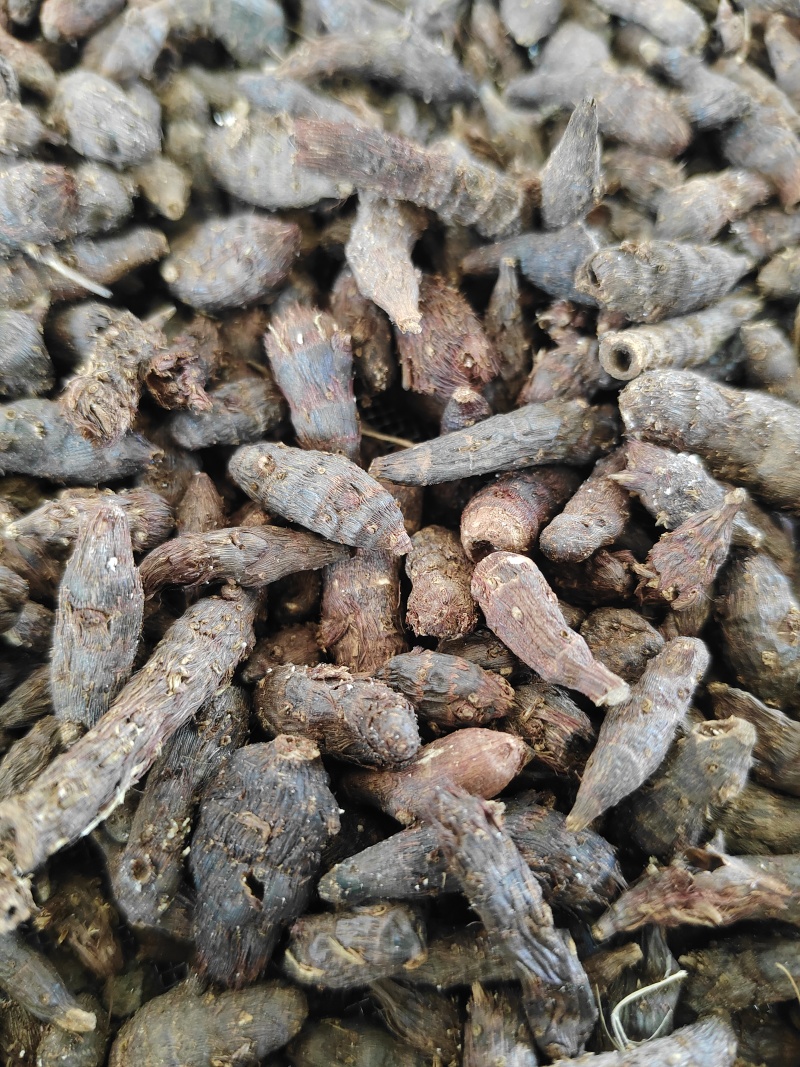 香附子又称三轮草、细三棱、三棱草、水三棱，小三棱