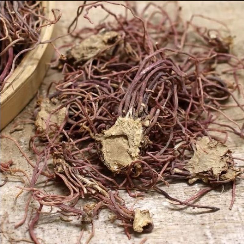 紫苑中药材紫苑无硫紫菀子菀子苑青菀返魂草返魂草根批发
