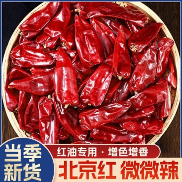 河南安阳北京红不辣干辣椒板椒微辣特香河南红油专用辣椒批发